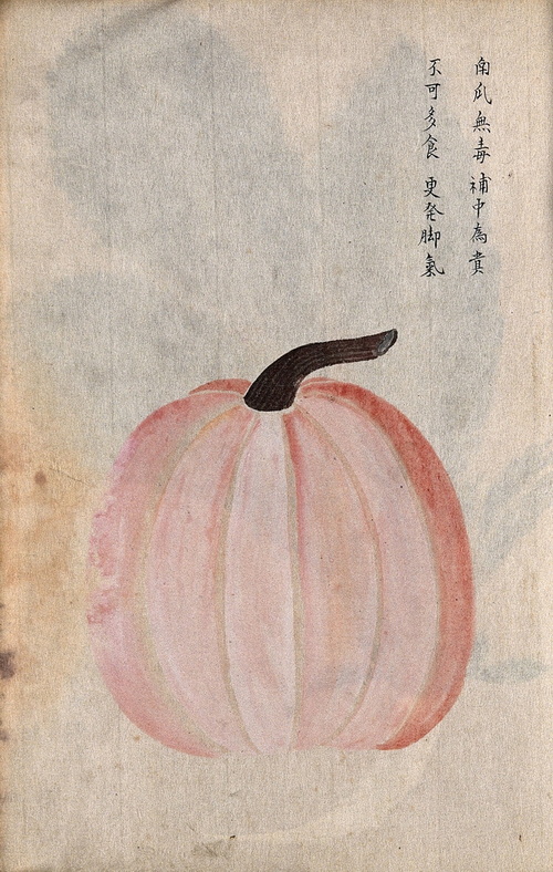 Japanese pumpkin watercolour