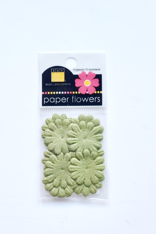 Flowers - 0.75" Bachelor - Hillary
