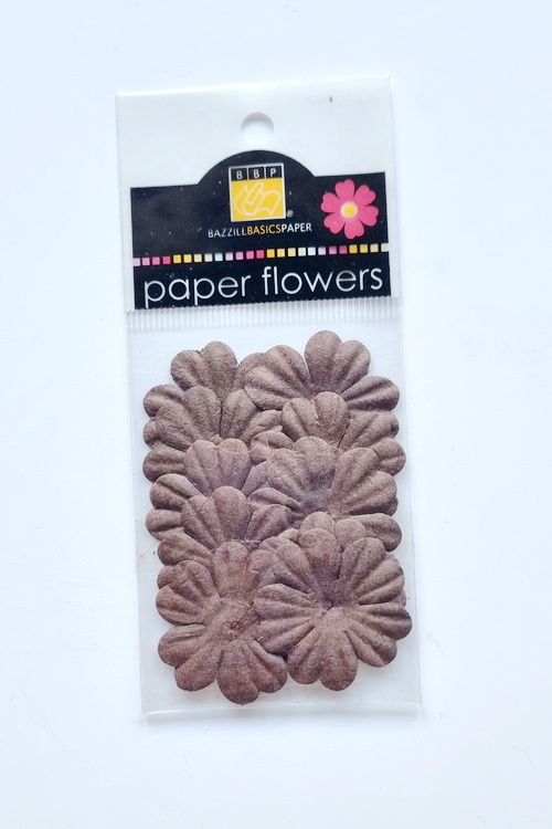 Flowers - 1" Primula - Brown