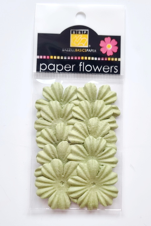 Flowers - 1" Primula - Parakeet