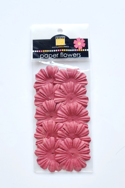 Flowers - 1.5" Primula - Kisses