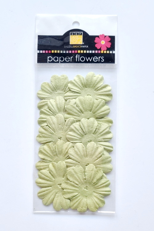 Flowers - 1.5" Primula - Parakeet