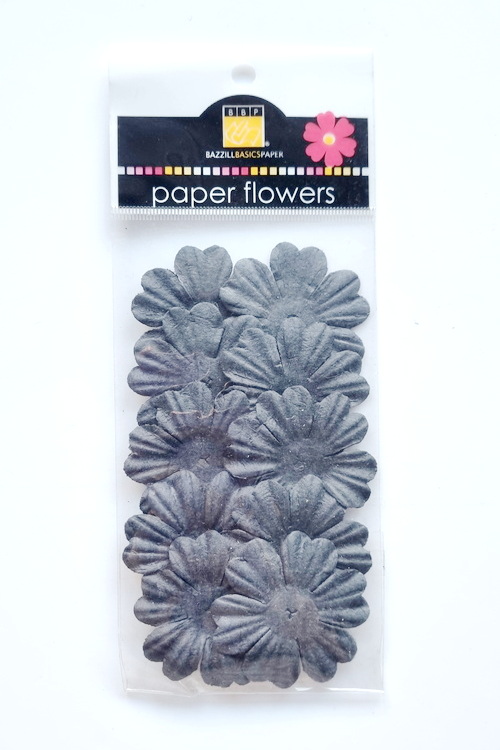 Flowers - 1.5" Primula - Raven