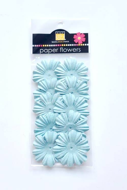 Flowers - 1.5" Primula - Whirlpool