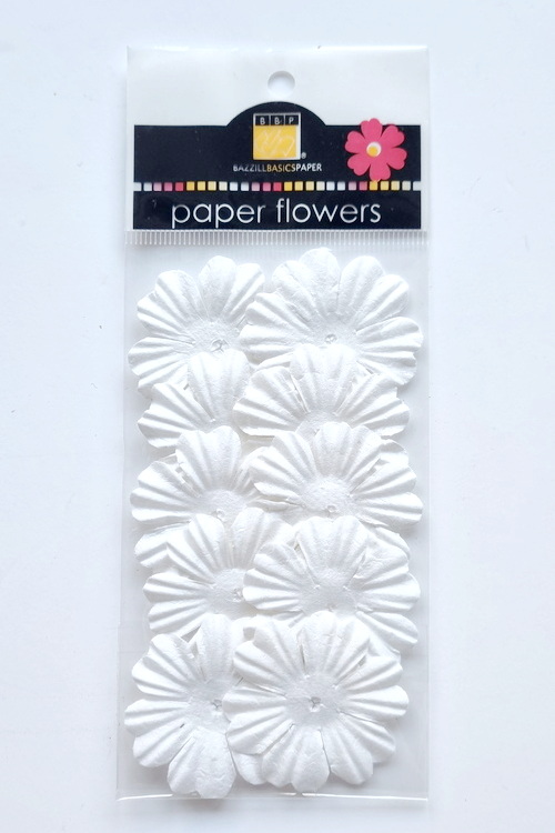 Flowers - 1.5" Primula - White