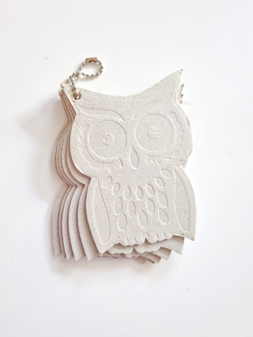 Greyboard - Maya Road - Coaster - Owl