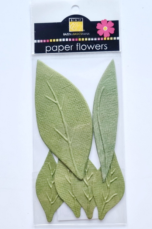Leaves - Garden