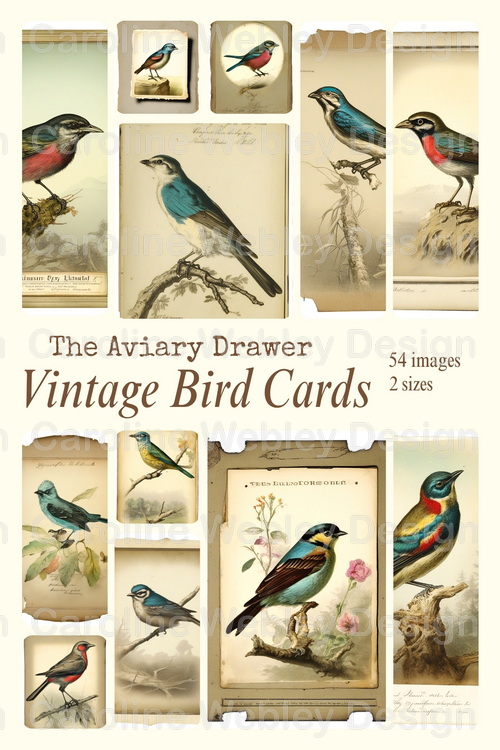 Download - The Aviary Drawer - Vintage Bird Cards